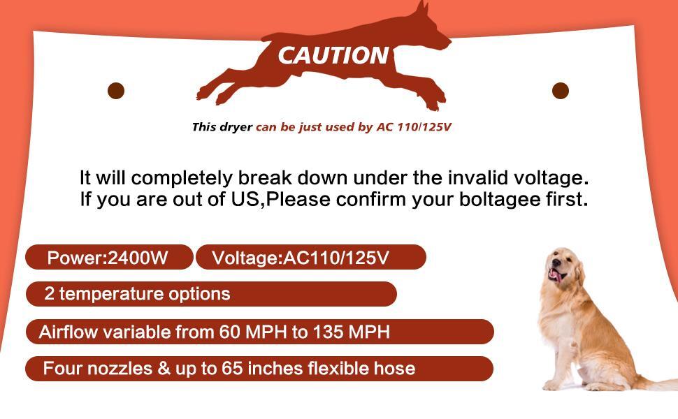 How to Use a High-Velocity Dryer on Your Dog