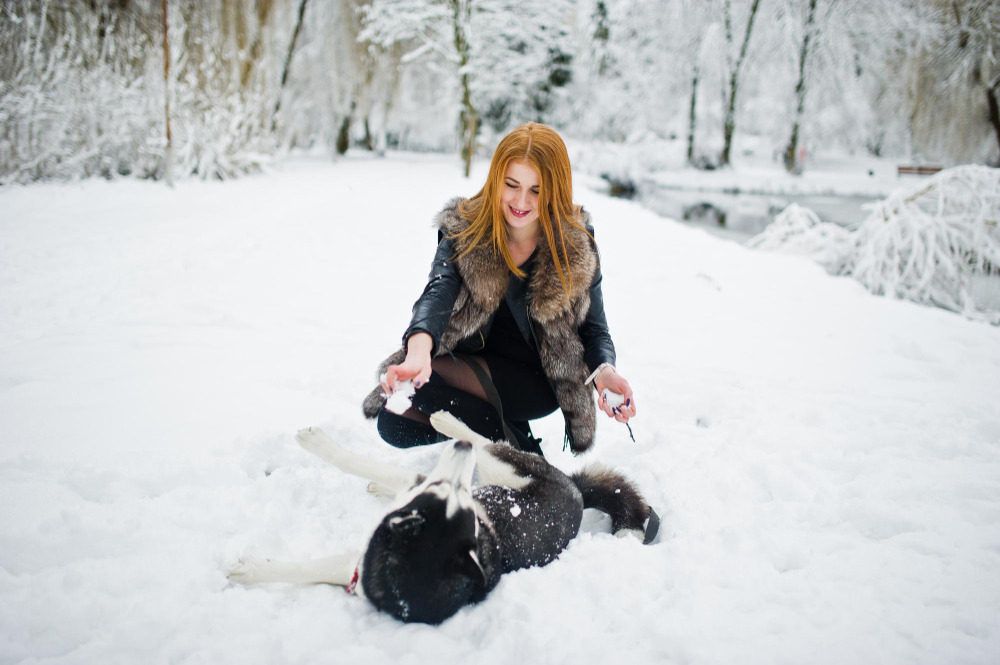 How to Protect Dog Paws in Winter | PetMD How to Protect Dog Paws in Winter | PetMD