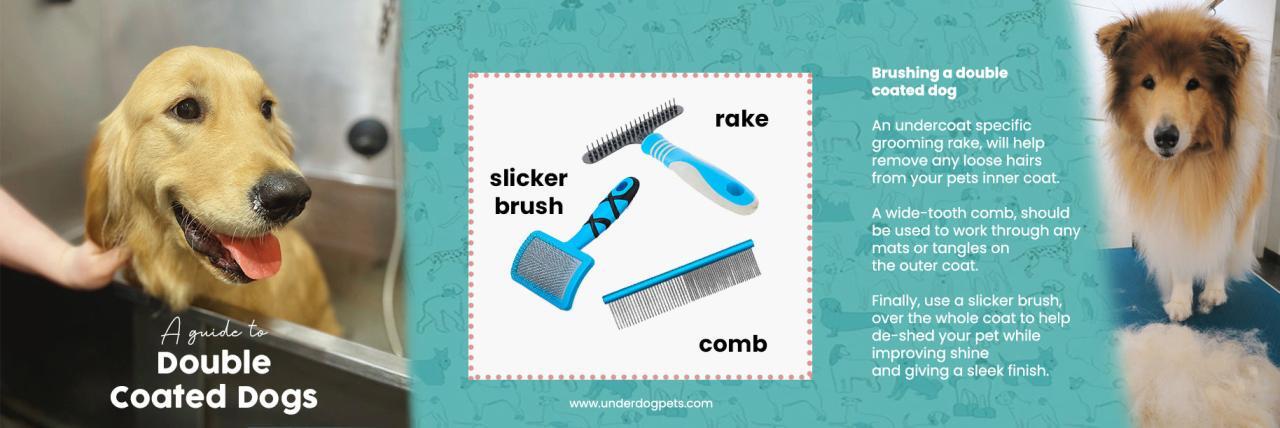 Double Coated Dog Grooming Guide | Underdog Pets
