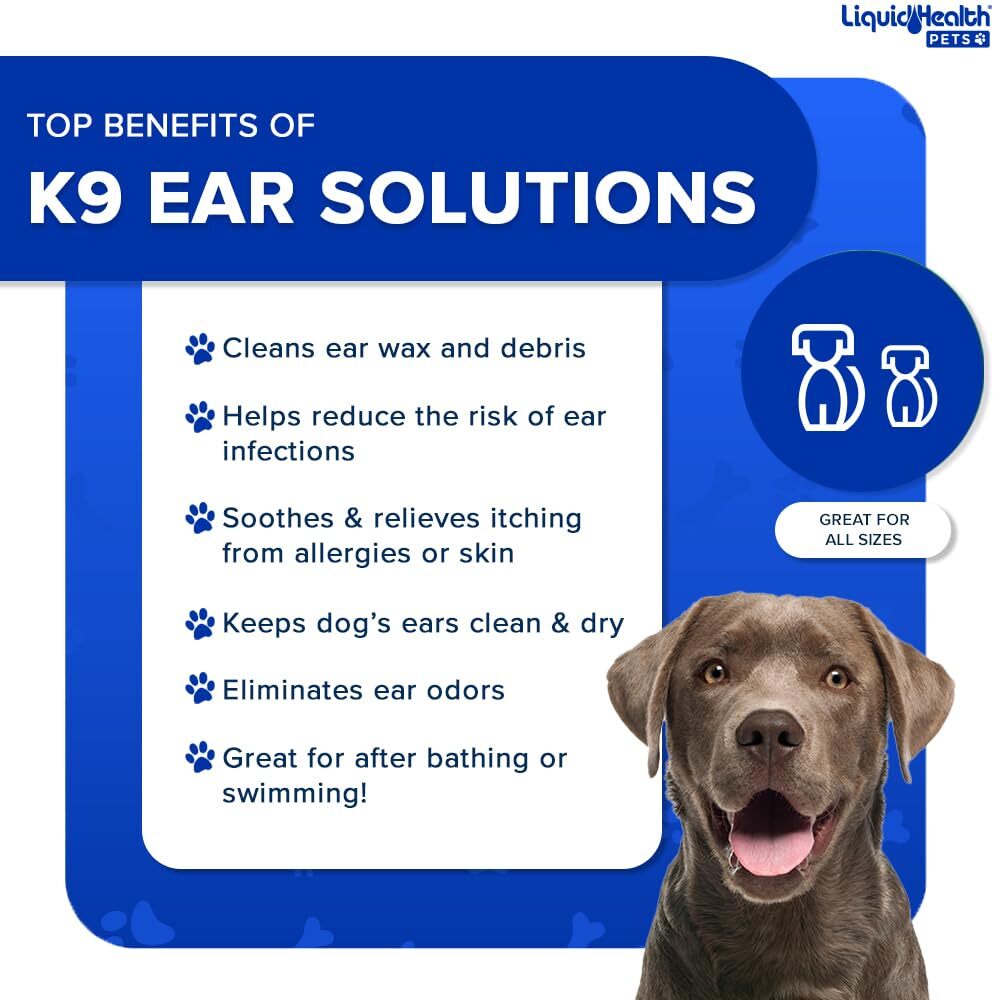 How to clean your dog s ears during bath time 6 amazing tips – Artofit