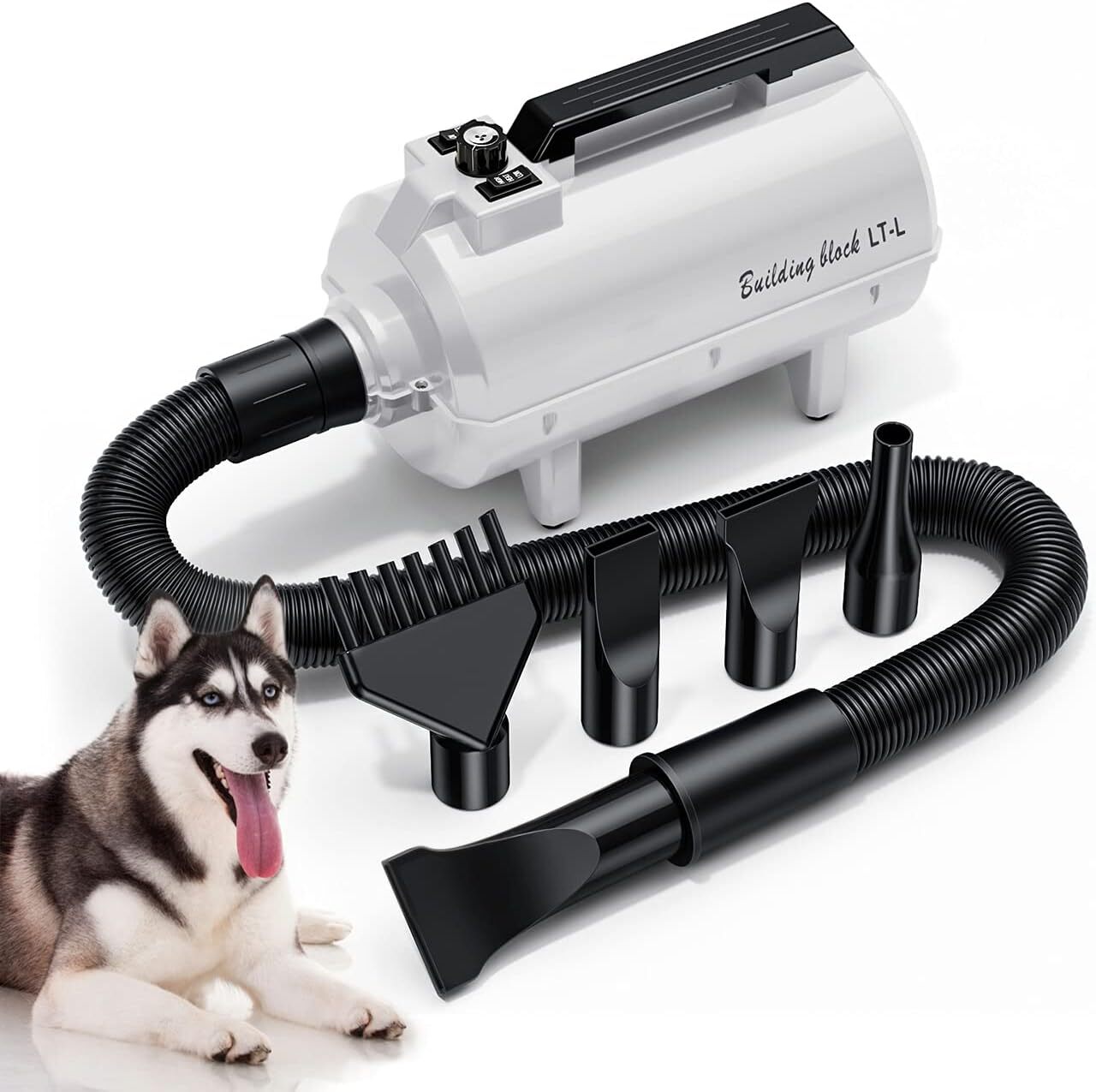6 Best High Velocity Dog Dryers: Our 2024 Guide to High Velocity Dryers