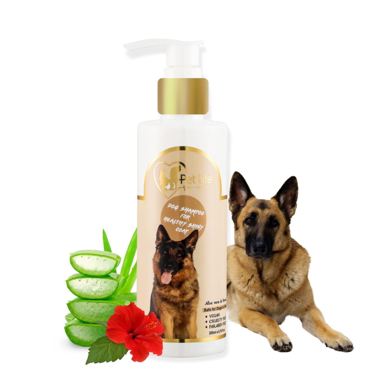 7 Dog Shiny Coat Tips for a Healthy and Radiant Pup | Petofy