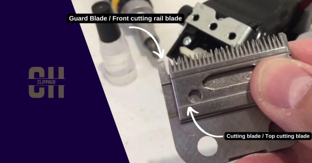 How to Sharpen Hair Clippers Blades the Easy Way