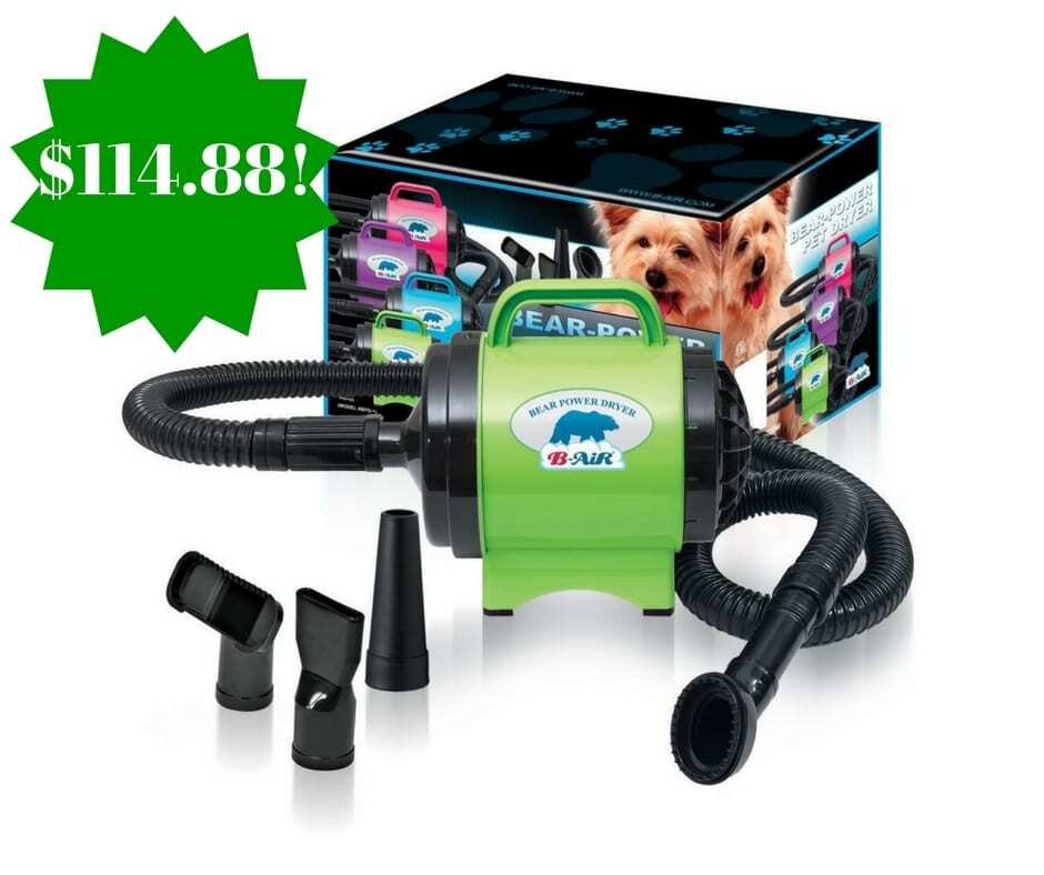 Best Dog Dryer Options: Quick, Easy and Effective