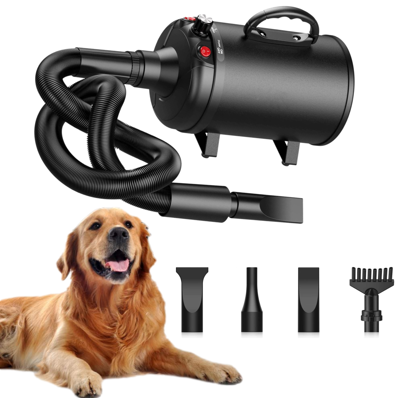 Fluffy dog: Use a pet hair dryer, brush and bathe regularly, add Omega-3s