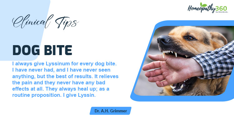 Dog Bite: Clinical Tips by Dr. A.H. Grimmer