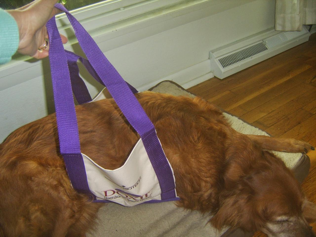 Jean the Pet Writer: How to Make a DIY Dog Sling Pet Carrier from an ... Jean the Pet Writer: How to Make a DIY Dog Sling Pet Carrier from an ...