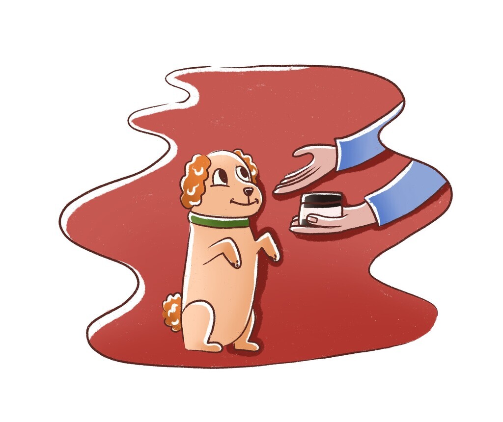 Dog Paw Butter: Organic Moisturizer for Dry, Rough Dog Paws - The ...