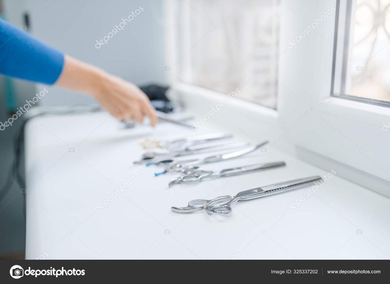 How to Sterilise Dog Grooming Equipment? Clipit Grooming