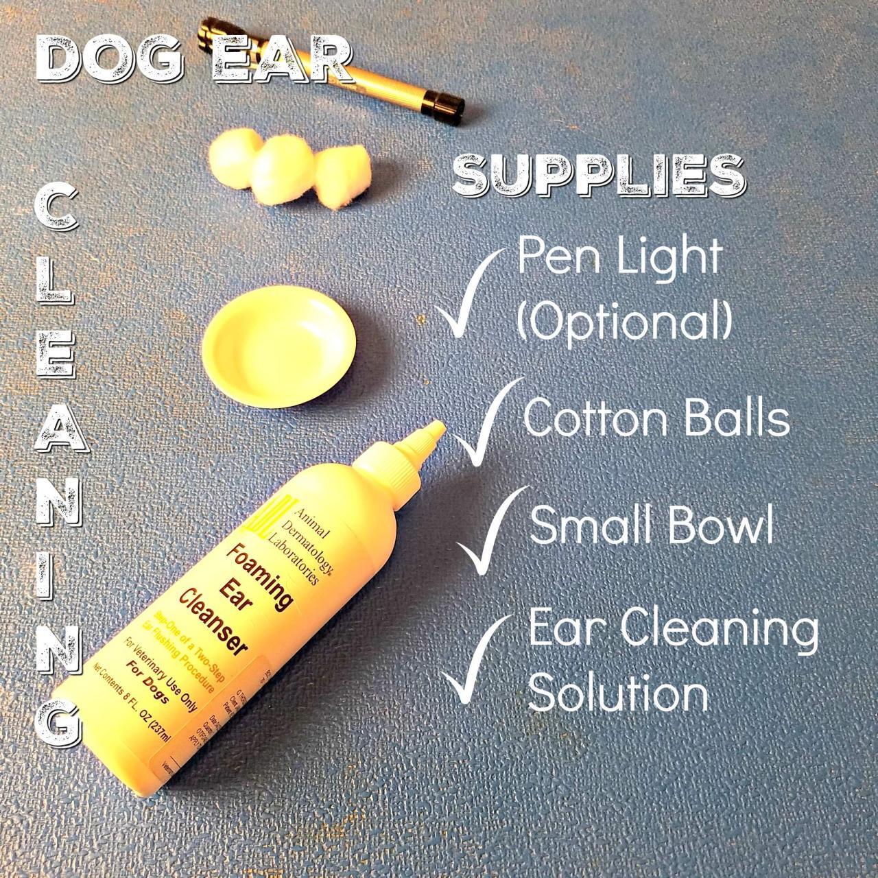 How to Help Prevent Dog Ear Infections – American Kennel Club