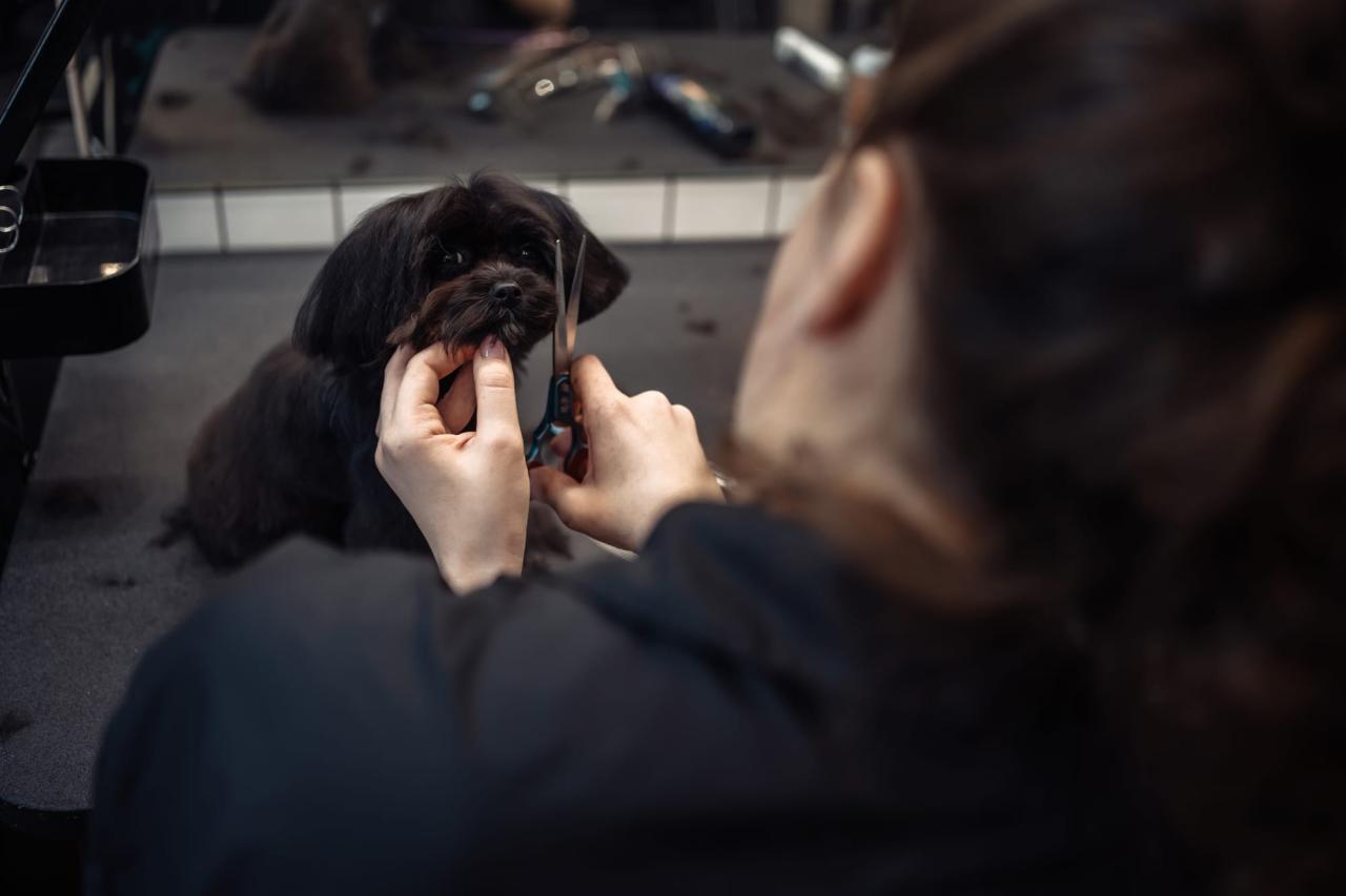 How to Cut Black Dog Nails: A Confident and Clear Guide
