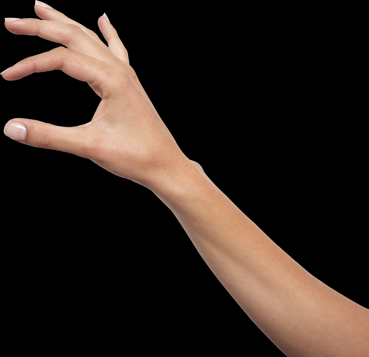 Hands PNG, hand image free