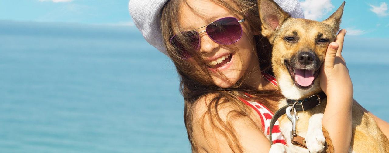 Can Dogs Get Sunburn?