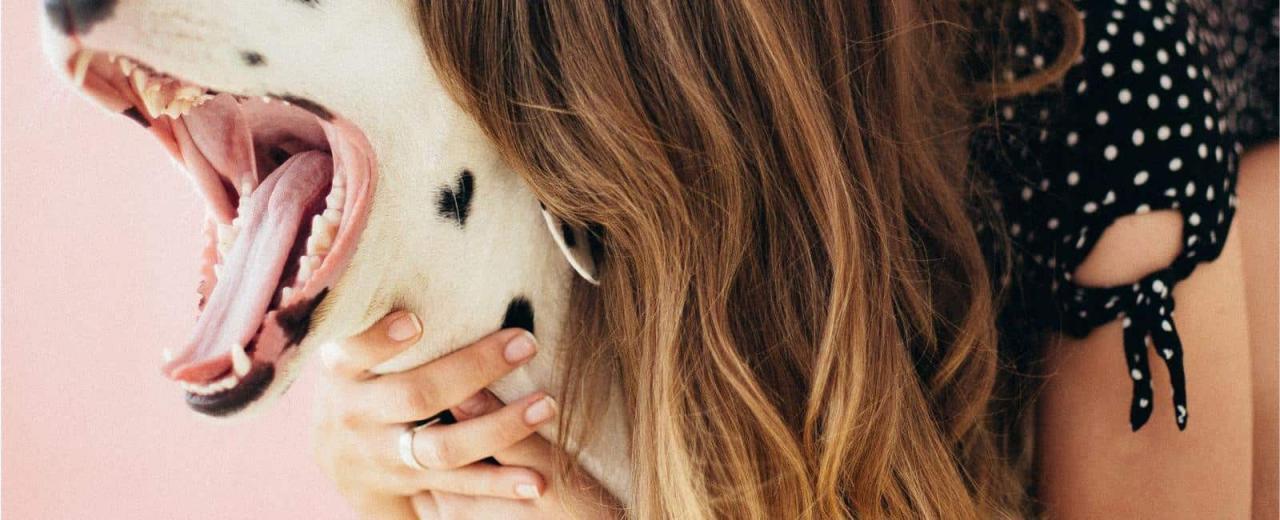 Why Does My Dog Act Strange After Grooming?