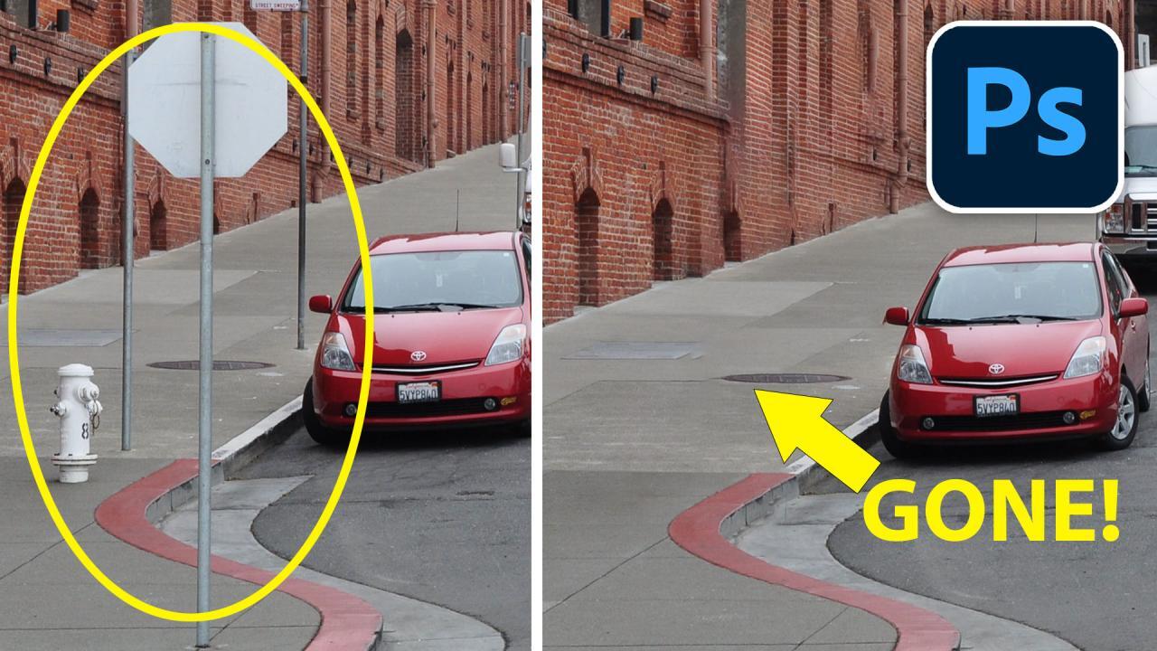 How to Remove a Tick from Your Dog Safely